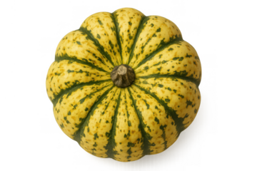 Yellow green acorn squash displaying ribbed texture and speckled skin, harvested autumn vegetable