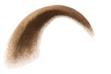 Brown animal horn displaying a curved shape and fuzzy texture, isolated on a transparent background, representing nature's resilience