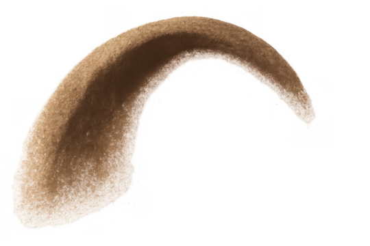 Brown animal horn displaying a curved shape and fuzzy texture, isolated on a transparent background, representing nature's resilience