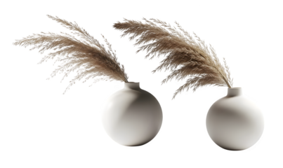 Two white vases with dried pampas grass, creating a minimalist and elegant decoration generative ai illustration