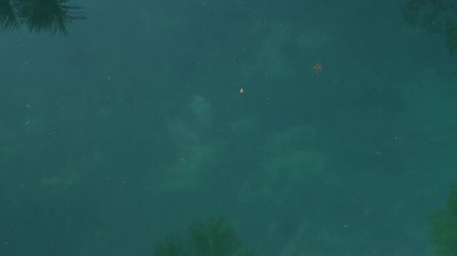 4k raw Lagoa Azul Presidente Figueiredo Amazonas