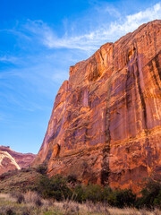 Sunlit red cliffs and green cottonwoods along the trail in Coyote Gulch