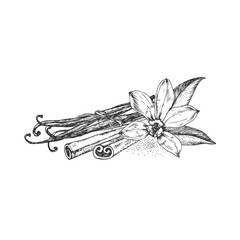 Vanilla and cinnamon hand-drawn vector illustration. Black and white flowers, pods, sticks isolated on a white background. Design elements for packaging of desserts, spices, and essential oils.