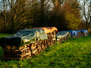 Brennholz lagert auf einer Wiese im Spätherbst