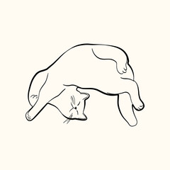 Whimsical doodle cat pose vector illustration. Cute kitten, hand drawn linear cat in different poses sitting, lying down, sleeping