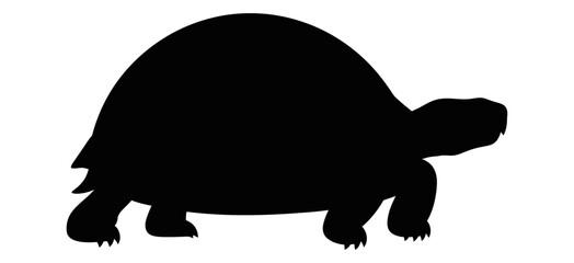 Simple Black Silhouette Icon of a Walking Tortoise on White Background