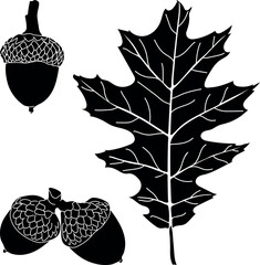 Black silhouette of Parts of northern red oak (Quercus rubra): acorn and leaf isolated on white background  © Kazakova Maryia