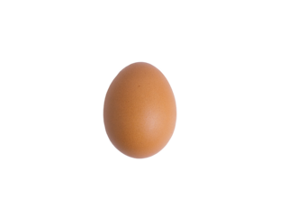 Single brown chicken egg standing vertically on a transparent background, representing protein, breakfast, food ingredient, and farm fresh produce concepts.
