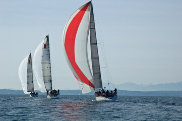 Sailing downwind on Seattle's Shilshole Bay