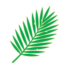 vector green leaf isolated on white