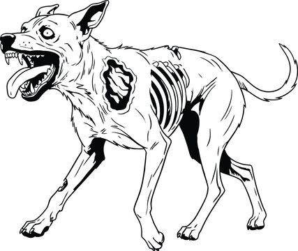 Feral undead canine illustration with exposed ribs, snarling mouth, and vacant eyes, captured in a menacing posture