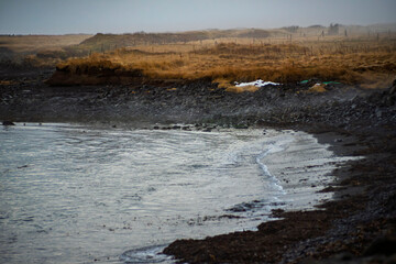 Icelandic Rocky Shoreline with Waves and Coastal Grass