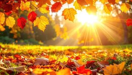 Golden sunlight shines through vibrant autumn leaves in a peaceful park