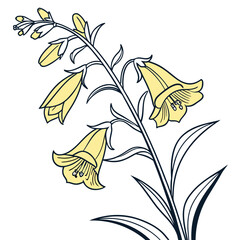 yellow foxglove vector © MOHAMMADRIPON