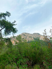Photo Mountain peak. Green Forest and bushes on elevation. Rock massif, hill. Terrain and wooded area. Summit, massif. Landscape of natural beauty, Wildlife scene. Cloudy sky. Vertical photograph