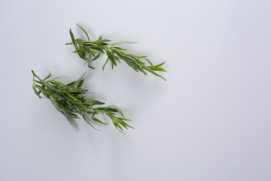 Fresh Rosemary Sprigs