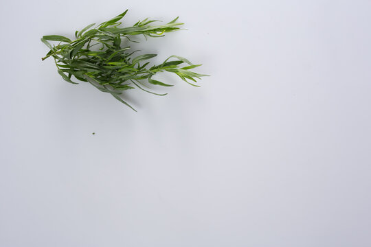 Fresh Rosemary Sprigs