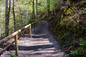 A scenic cycling path runs along natural dirt terrain surrounded by forest and open meadows....