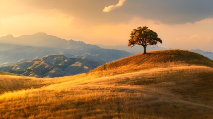a solitary tree standing proudly atop a golden hillside bathed in warm sunlight with soft rolling terrain sunset in the mountains
