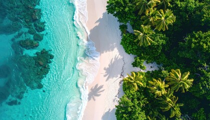 Aerial view of a tropical beach with turquoise water, white sand, and palm trees (1)