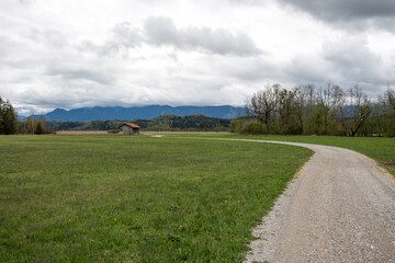 A scenic cycling path runs along natural dirt terrain surrounded by forest and open meadows. Peaceful outdoor setting perfect for biking, nature walks, and countryside recreation.