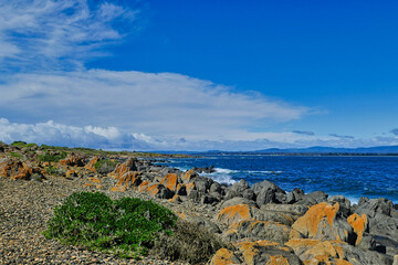 Rugged rocky coast at the mouth of the Tamar River at Low Head, George Town, in the Launceston region of northern Tasmania, Australia. Lichen covered rocks and stunted coastal plants
