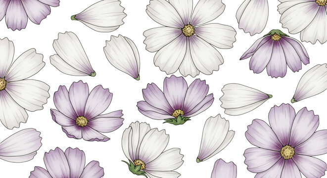 Beautifully illustrated seamless floral pattern with blooming white and purple cosmos flowers and gracefully falling petals, evoking a fresh springtime and gentle aesthetic