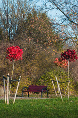  Autumn Park Bench With Red Trees