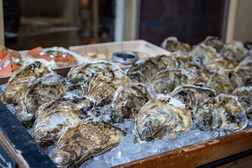 Oysters for sale at a festive Christmas Market stall in Zurich, Switzerland