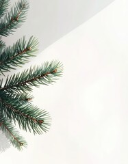 A green evergreen branch on a minimalist white background with a soft shadow