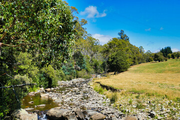 The Liffey River flows close to its source through forests and meadows in northern Tasmania, Australia
