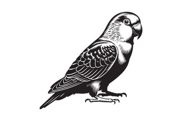 Detailed black and white illustration of a perched parrot