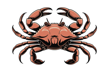 Detailed illustration of a fierce red crab with claws raised