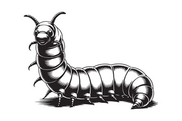 Detailed black and white illustration of a large caterpillar