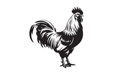 Striking black and white illustration of a majestic rooster