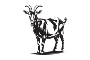 Black and white sketch of a standing goat with horns