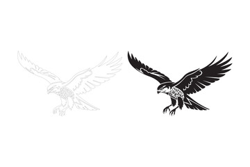 Detailed black and white illustration of a falcon in flight