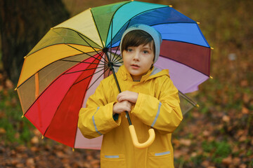 A curious child in a yellow raincoat and hat holds a multi-colored rainbow umbrella on a rainy autumn day in the forest.