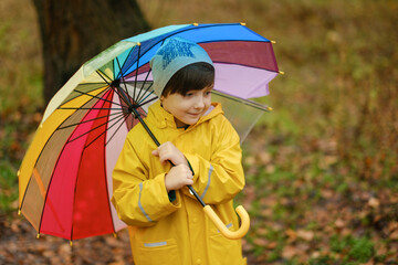 A curious child in a yellow raincoat and hat holds a multi-colored rainbow umbrella on a rainy autumn day in the forest.