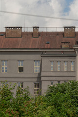 row of grey rooftops behind green foliage, chimneys and varied tiles create layered depth and cozy urban