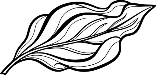 Line art illustration of a stylized leaf with intricate details  