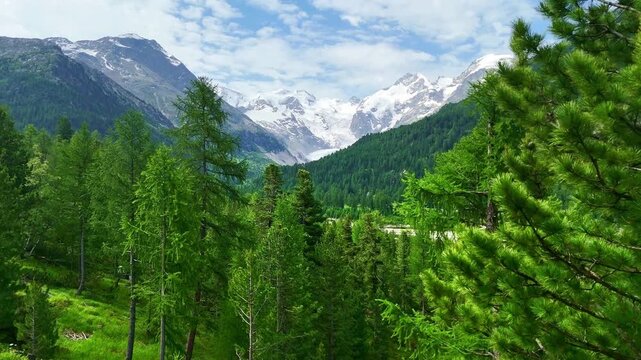 red swiss train on Landwasser viaduct bridge in Swiss Alps. Zermatt to St. Moritz.  scenic railway. Switzerland summer tourism.