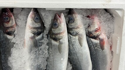 Vibrant Seafood Market: Diverse Selection of Fresh and Frozen Fish Displayed in Icy Bins. Perfect for Showcasing Quality, Variety, and Culinary Delights in a Dynamic Retail Environment