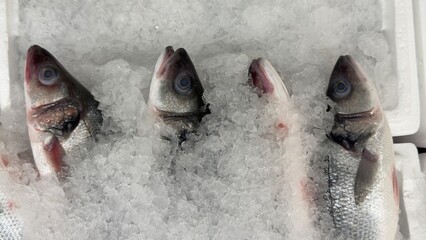 Vibrant Seafood Market: Diverse Selection of Fresh and Frozen Fish Displayed in Icy Bins. Perfect for Showcasing Quality, Variety, and Culinary Delights in a Dynamic Retail Environment