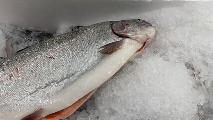 Vibrant Seafood Market: Diverse Selection of Fresh and Frozen Fish Displayed in Icy Bins. Perfect...