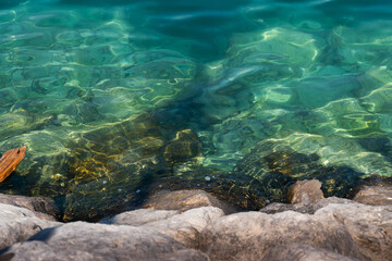 Sea water and stones