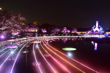 三重　三重県　イルミネーション　イルミ　なばなの里