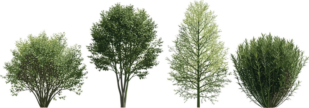 Assorted lush green deciduous trees and bushes, rendered and isolated on a white background, ideal for architectural landscaping, garden planning, and natural design projects