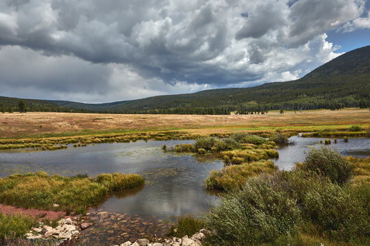 Mountain Wetland Meadow with Clouds over Rolling Hills