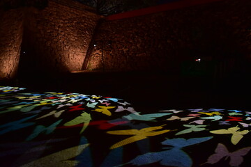 岡山　中国地方　後楽園　ライトアップ